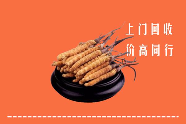 高价求购：靖安县回收散虫草