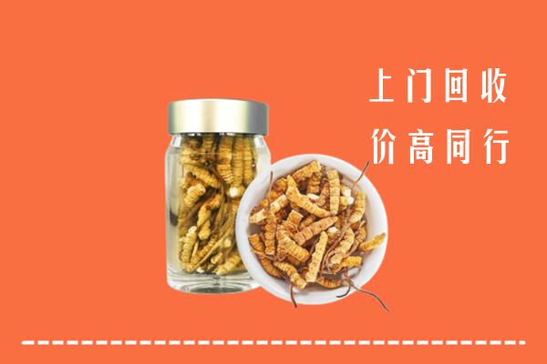 靖安县回收冬虫夏草
